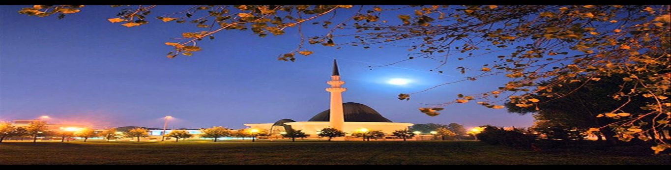 Grande mosquée de Zagreb